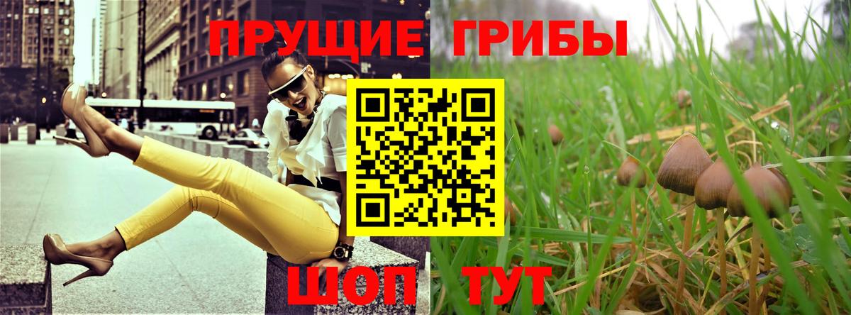 Галлюциногенные грибы MAGIC MUSHROOMS Киржач
