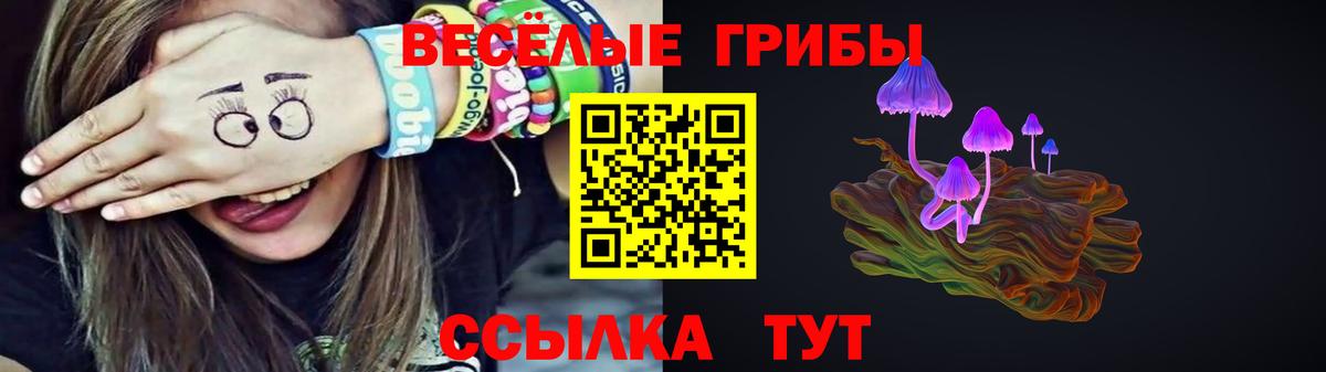 Киржач  Псилоцибиновые грибы Psilocybine cubensis  Вход с VPN 